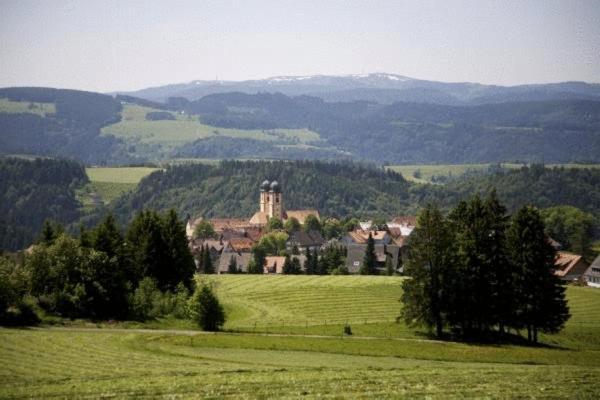 Gaestehaus Wald Und See Titisee-Neustadt Kültér fotó
