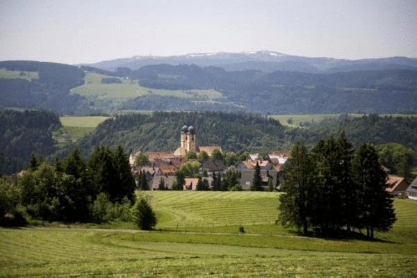 Gastehaus Wald Und See Titisee-Neustadt Kültér fotó